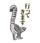 <BIG>だらしない動物《使用難易度★★★》（個別スタンプ：25）