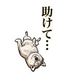 <BIG>だらしない動物《使用難易度★★★》（個別スタンプ：35）