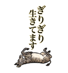<BIG>だらしない動物《使用難易度★★★》（個別スタンプ：37）