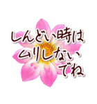 大人の思いやり敬語✿優しい気づかい心配り✿（個別スタンプ：1）