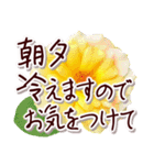 大人の思いやり敬語✿優しい気づかい心配り✿（個別スタンプ：3）