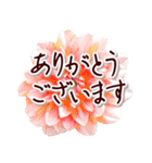 大人の思いやり敬語✿優しい気づかい心配り✿（個別スタンプ：13）