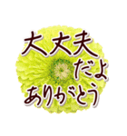 大人の思いやり敬語✿優しい気づかい心配り✿（個別スタンプ：15）