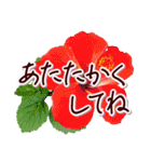 大人の思いやり敬語✿優しい気づかい心配り✿（個別スタンプ：21）