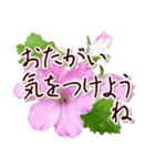 大人の思いやり敬語✿優しい気づかい心配り✿（個別スタンプ：23）