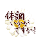 大人の思いやり敬語✿優しい気づかい心配り✿（個別スタンプ：25）