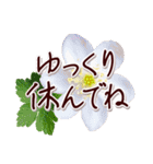大人の思いやり敬語✿優しい気づかい心配り✿（個別スタンプ：30）