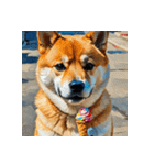 柴犬の新日常6（個別スタンプ：1）