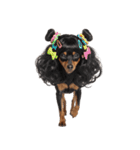 かつらを被った犬たち（個別スタンプ：6）