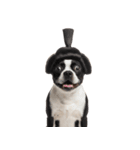 かつらを被った犬たち（個別スタンプ：28）