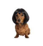 かつらを被った犬たち（個別スタンプ：33）