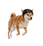 かつらを被った犬たち（個別スタンプ：34）