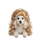 かつらを被った犬たち（個別スタンプ：38）