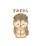 まんまるモフッモフわんこのスタンプ（個別スタンプ：18）