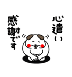 全力いぬ使える挨拶・相槌セット編（個別スタンプ：11）