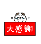 全力いぬ使える挨拶・相槌セット編（個別スタンプ：16）