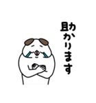 全力いぬ使える挨拶・相槌セット編（個別スタンプ：25）