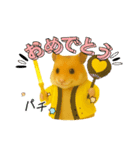 推し活ハムさん(黄色担、イエロー担)（個別スタンプ：5）