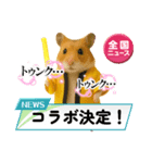 推し活ハムさん(黄色担、イエロー担)（個別スタンプ：9）