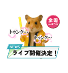 推し活ハムさん(黄色担、イエロー担)（個別スタンプ：10）