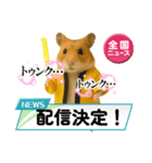 推し活ハムさん(黄色担、イエロー担)（個別スタンプ：11）