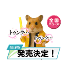 推し活ハムさん(黄色担、イエロー担)（個別スタンプ：12）