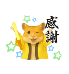 推し活ハムさん(黄色担、イエロー担)（個別スタンプ：15）