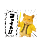 推し活ハムさん(黄色担、イエロー担)（個別スタンプ：16）