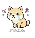 ユニーク柴犬（個別スタンプ：11）