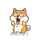 ユニーク柴犬（個別スタンプ：12）