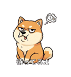 ユニーク柴犬（個別スタンプ：16）