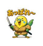 インコ侍。（個別スタンプ：11）