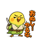 インコ侍。（個別スタンプ：15）
