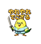 インコ侍。（個別スタンプ：18）