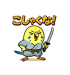 インコ侍。（個別スタンプ：20）