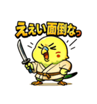 インコ侍。（個別スタンプ：21）