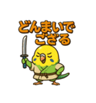 インコ侍。（個別スタンプ：23）