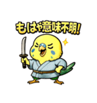 インコ侍。（個別スタンプ：31）