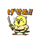 インコ侍。（個別スタンプ：36）