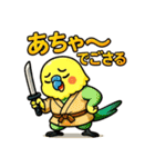 インコ侍。（個別スタンプ：38）