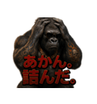 ふぁんきーごりらくん（個別スタンプ：16）