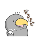 オオワシの日常色々（個別スタンプ：11）