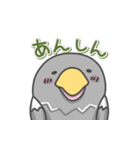 オオワシの日常色々（個別スタンプ：24）