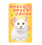 かわいい猫写真♪年賀BIGスタンプ【再販】（個別スタンプ：1）