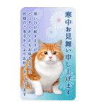 かわいい猫写真♪年賀BIGスタンプ【再販】（個別スタンプ：13）
