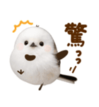 冬の妖精♡まんまるシマエナガ（個別スタンプ：29）