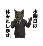 僕が総理大臣ににゃったら（個別スタンプ：14）