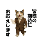 僕が総理大臣ににゃったら（個別スタンプ：17）