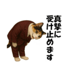 僕が総理大臣ににゃったら（個別スタンプ：20）