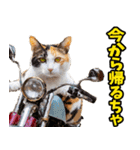 富山弁☆にゃんこ.（個別スタンプ：7）